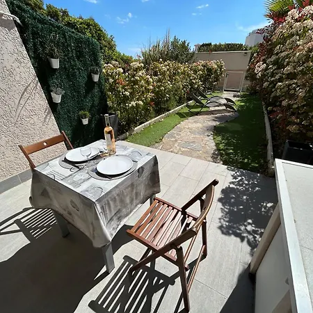 Mandariniers - Rez-de-jardin - Piscine Le Lavandou